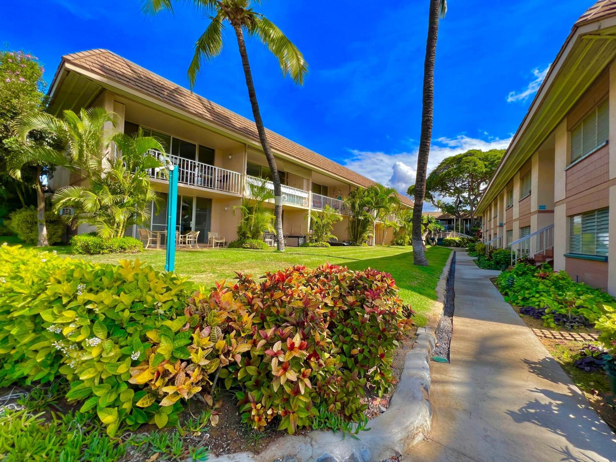 Kai Nani 368 Kihei
